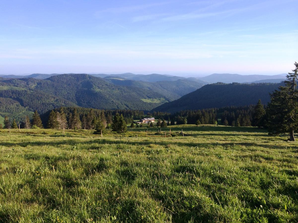 Berggasthof-Pension Todtnauer Huette Feldberg (Baden-Wurttemberg) Exterior foto
